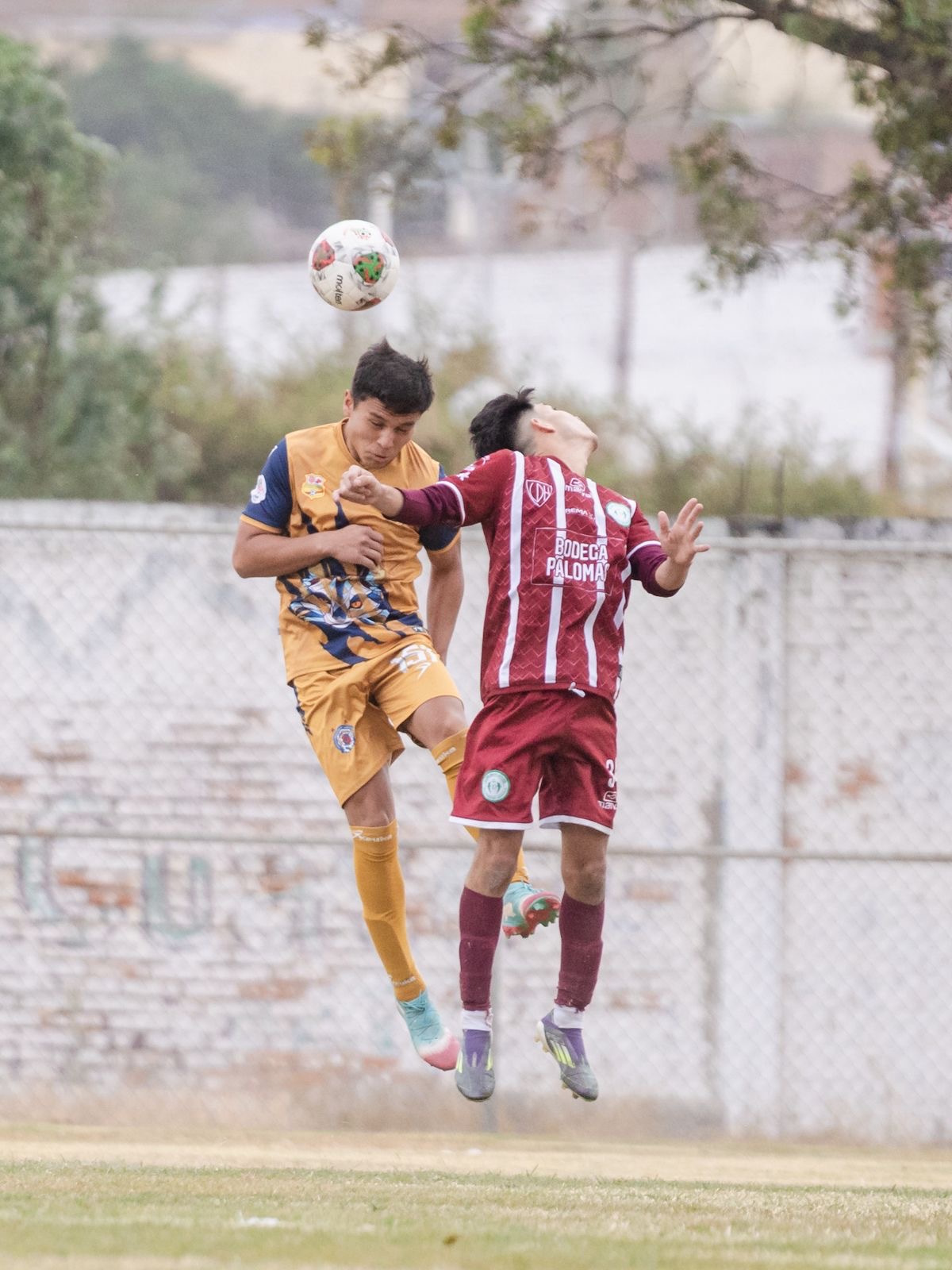 Atlético Morelia-UMSNH suma 16 victorias; sale de Abasolo con los tres puntos 