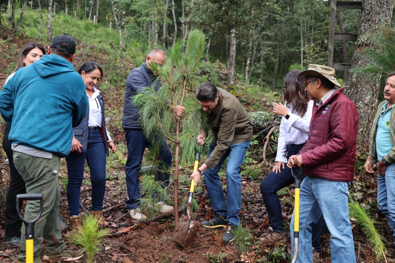 En Segundo Año de Gobierno, Alfonso Martínez consolida liderazgo ambiental de Morelia con nombramiento de Ciudad Árbol