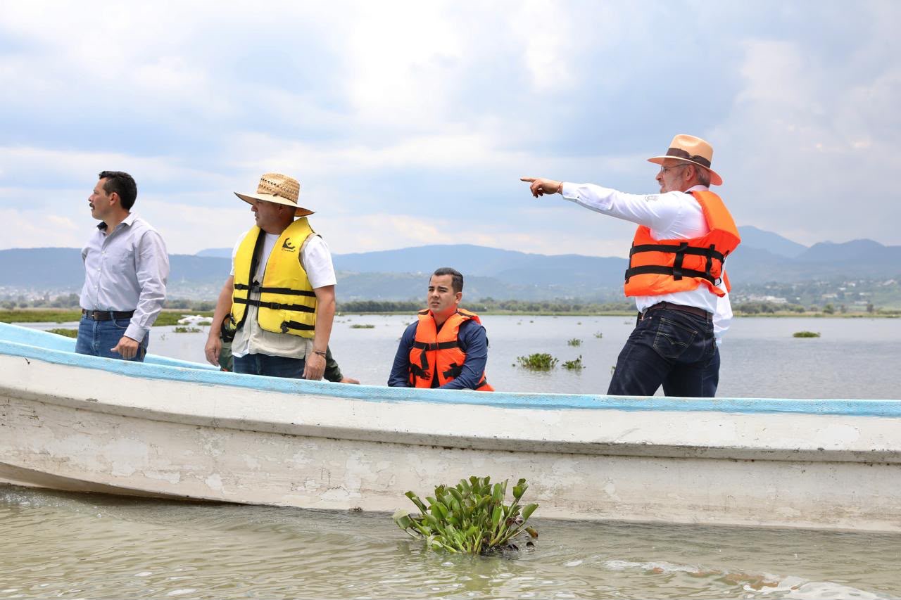 Avanza retiro de lirio en Presa Malpaís de Queréndaro; 500 hectáreas serán limpiadas: Bedolla