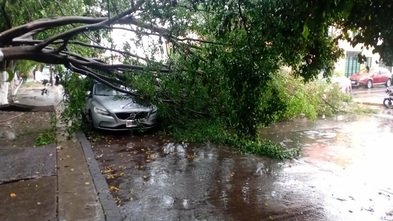 Tormenta eléctrica provoca inundaciones, caída de árboles y apagones en Morelia