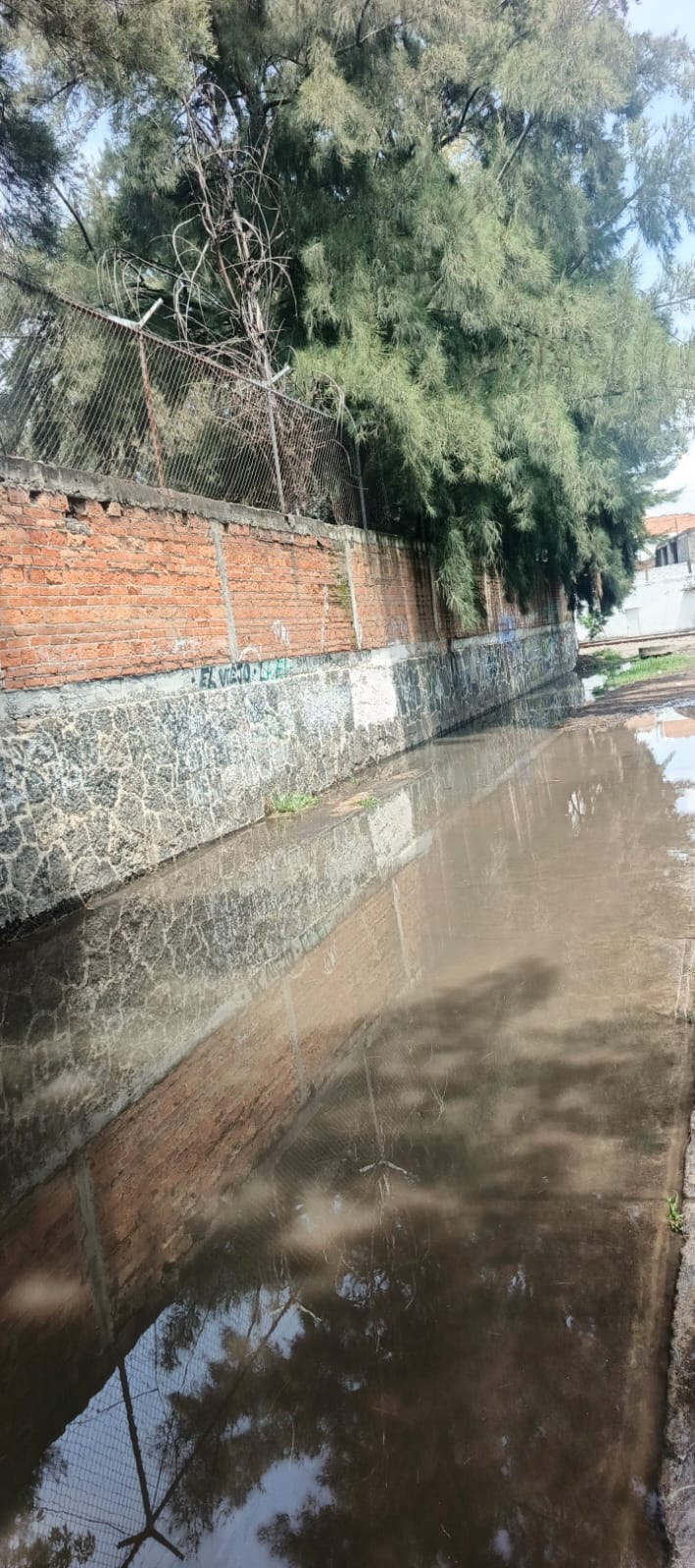 Estancamiento de aguas negras y pluviales generan foco de infección en la Ampliación El Porvenir, Morelia 