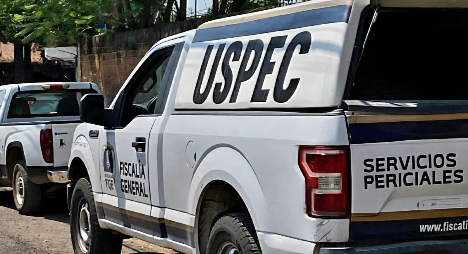 Ataque armado en acopio de aguacate deja tres muertos en Salvador Escalante