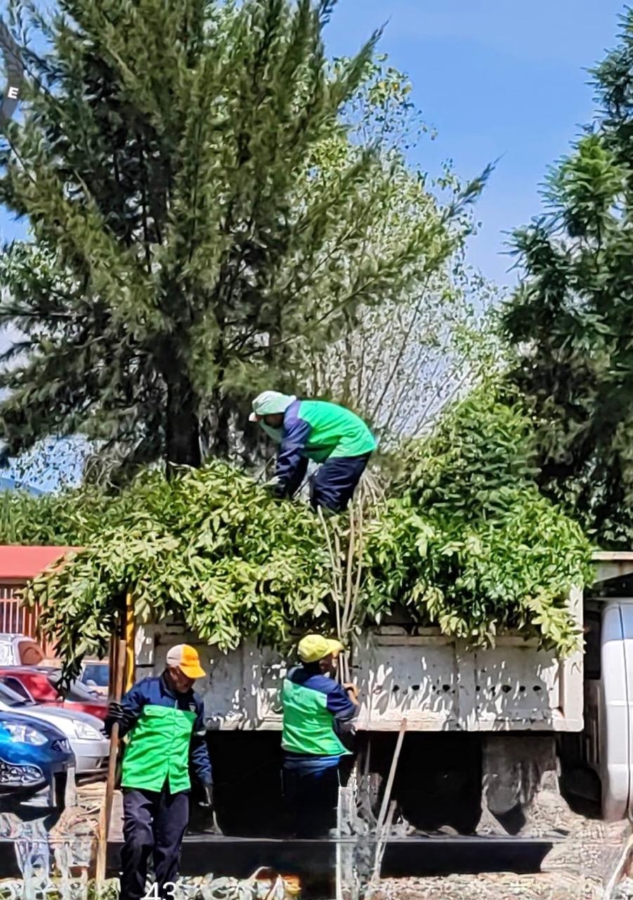 Gobierno de Morelia trabaja en el cuidado de áreas verdes y espacios públicos