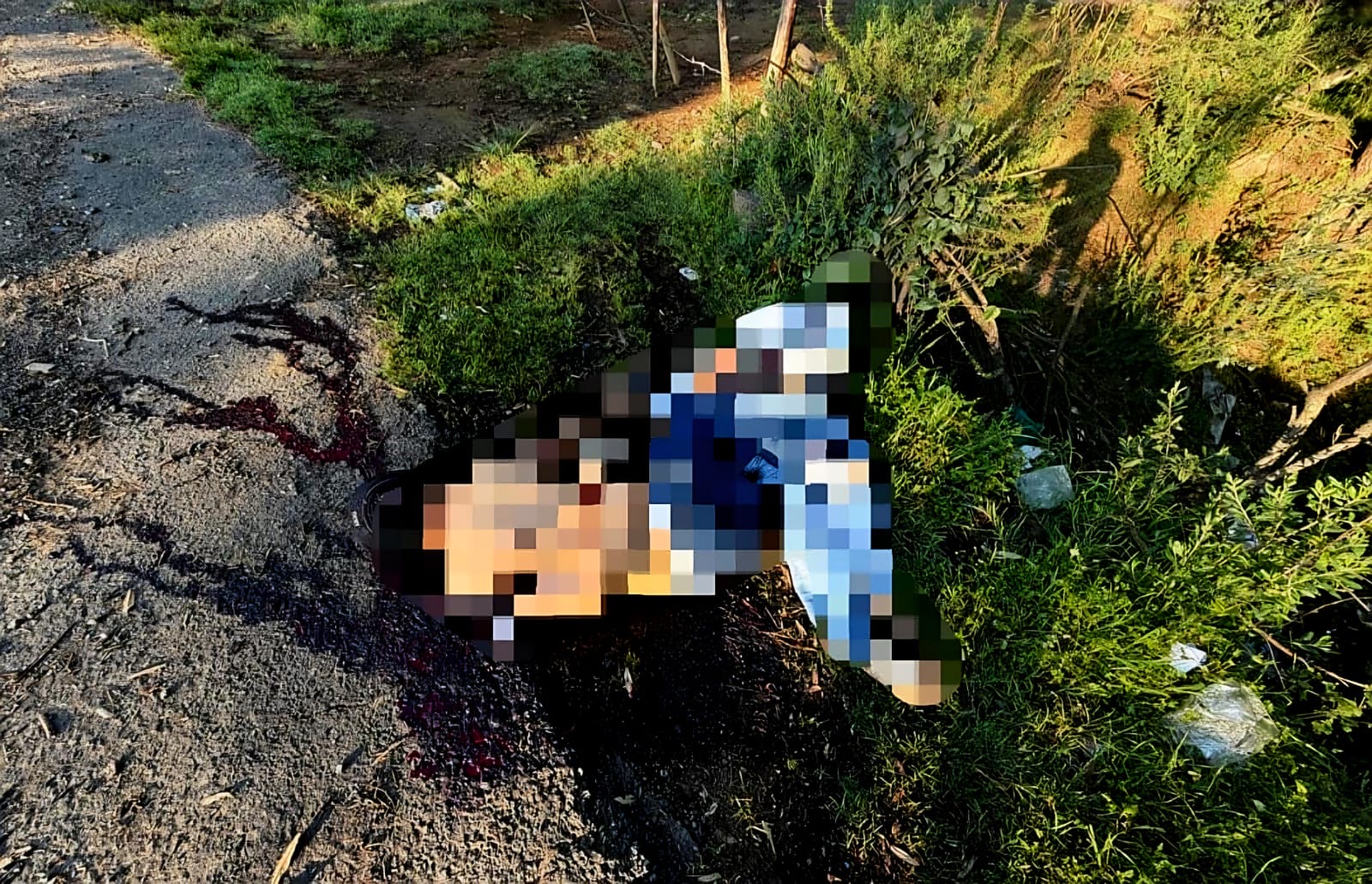Hallan a dos taqueros ejecutados en la comunidad de Quinceo, Paracho. 